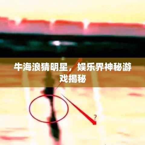 牛海浪猜明星,娱乐界神秘游戏揭秘