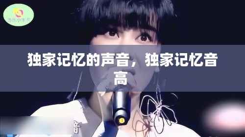 独家记忆的声音,独家记忆音高