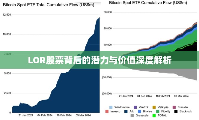 LOR股票背后的潜力与价值深度解析