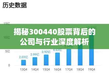 揭秘300440股票背后的公司与行业深度解析