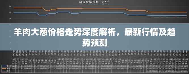 羊肉大葱价格走势深度解析，最新行情及趋势预测