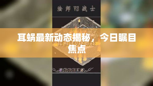 耳蜗最新动态揭秘,今日瞩目焦点