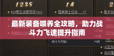 最新装备喂养全攻略,助力战斗力飞速提升指南