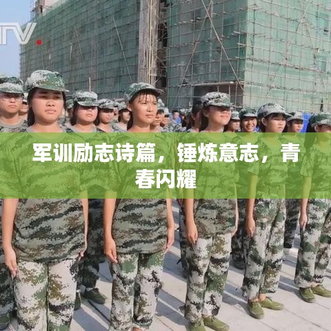 军训励志诗篇,锤炼意志,青春闪耀