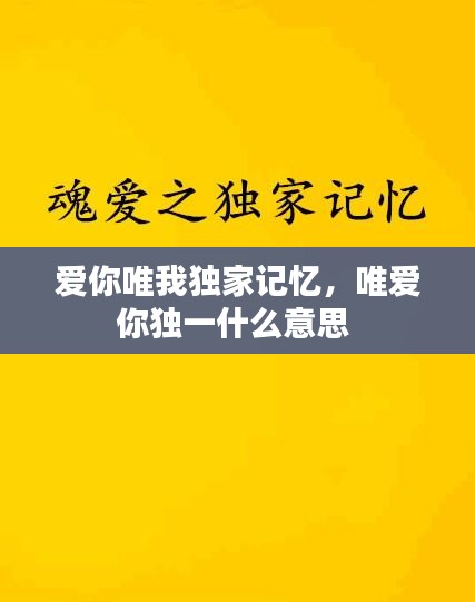 爱你唯我独家记忆,唯爱你独一什么意思