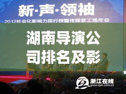 湖南导演公司排名及影响力概览，揭秘业界领军力量