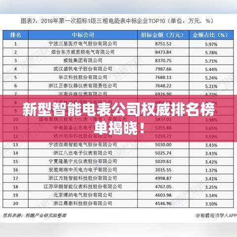新型智能电表公司权威排名榜单揭晓！