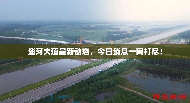 淄河大道最新动态，今日消息一网打尽！