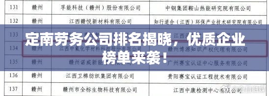 定南劳务公司排名揭晓,优质企业榜单来袭!
