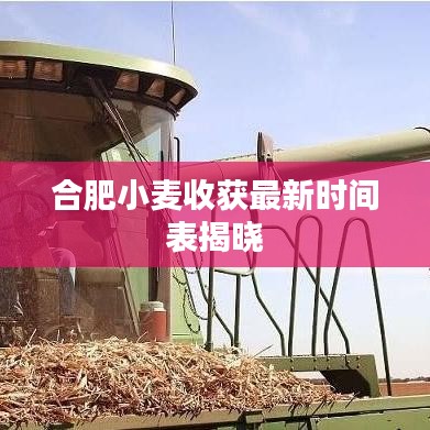 合肥小麦收获最新时间表揭晓