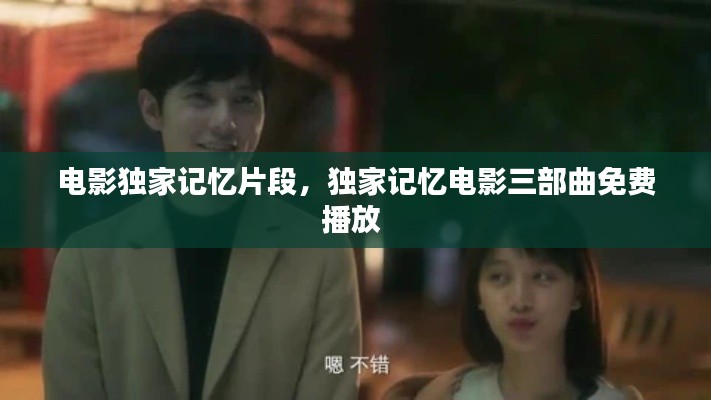 电影独家记忆片段,独家记忆电影三部曲免费播放