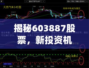 飞沙走石 第2页