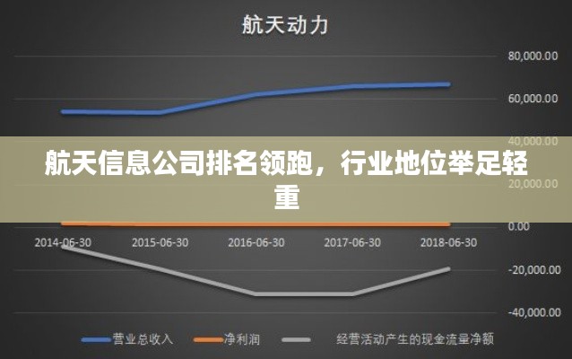 航天信息公司排名领跑,行业地位举足轻重
