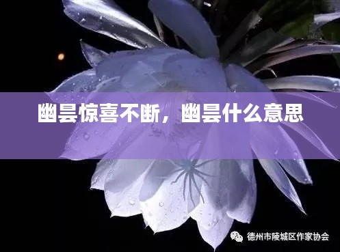 幽昙惊喜不断，幽昙什么意思 