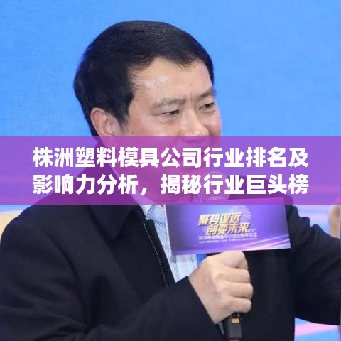 株洲塑料模具公司行业排名及影响力分析,揭秘行业巨头榜单