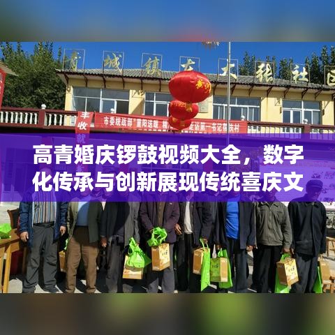 鸟飞兔走 第3页