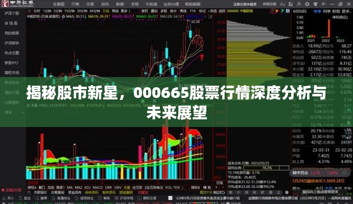 揭秘股市新星,000665股票行情深度分析与未来展望