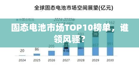 固态电池市场TOP10榜单,谁领风骚?