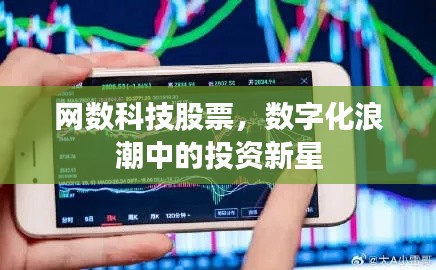网数科技股票,数字化浪潮中的投资新星
