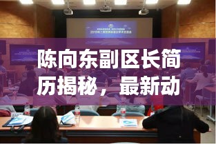 陈向东副区长简历揭秘,最新动态与成就速览