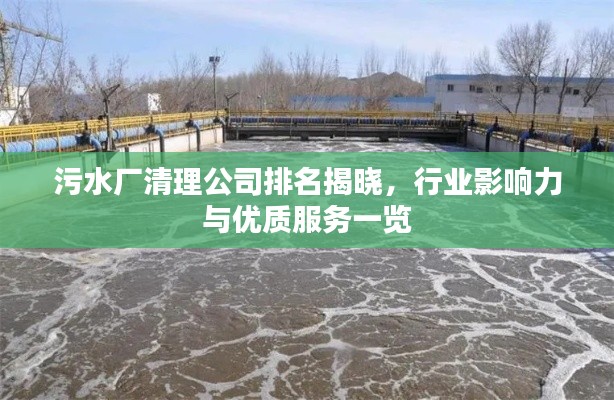 污水厂清理公司排名揭晓，行业影响力与优质服务一览