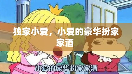 独家小爱，小爱的豪华扮家家酒 