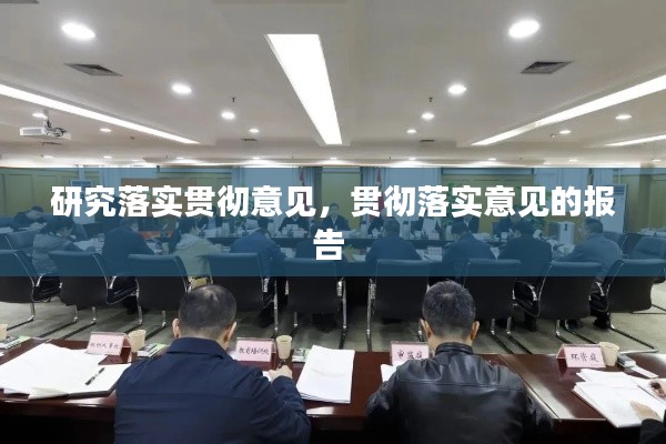 研究落实贯彻意见,贯彻落实意见的报告