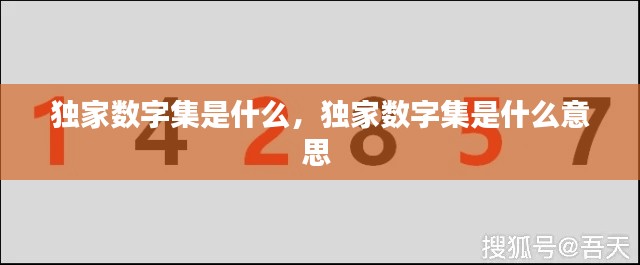 独家数字集是什么，独家数字集是什么意思 
