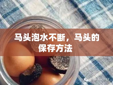 马头泡水不断,马头的保存方法