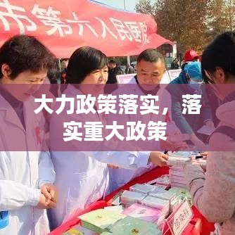 大力政策落实,落实重大政策