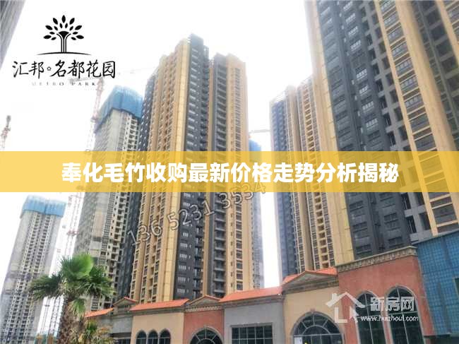 奉化毛竹收购最新价格走势分析揭秘