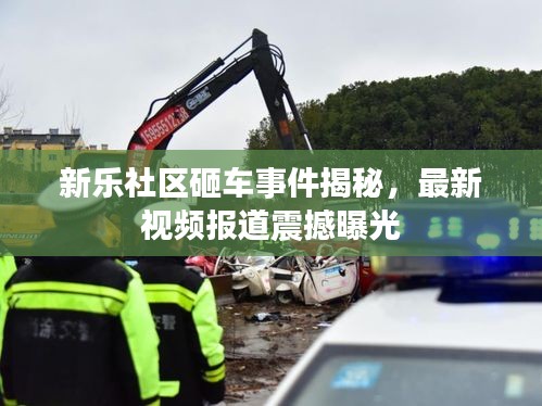 新乐社区砸车事件揭秘，最新视频报道震撼曝光
