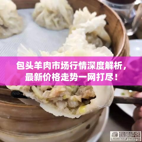 包头羊肉市场行情深度解析,最新价格走势一网打尽!